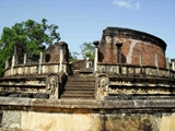 pinnawala6