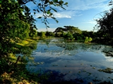 Wetland-Yala-Park_019